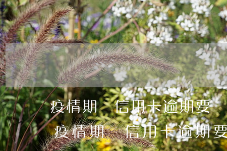 疫情期間信用卡逾期要協(xié)商嗎-疫情期間信用卡逾期要協(xié)商嗎