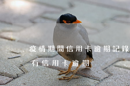 疫情期間信用卡逾期記錄上征信嗎(征信記錄有信用卡逾期)