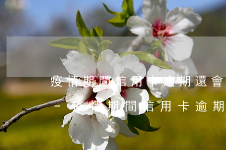 疫情期間信用卡逾期還會(huì)上門么-疫情期間信用卡逾期還會(huì)上門么嗎
