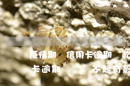 疫情期間信用卡逾期還款怎么辦(疫情期信用卡逾期,確實還不起,有影響嗎)