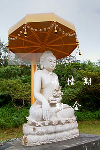 疫情期間信用卡逾期金額(疫情期間信用卡逾期金額怎么算)