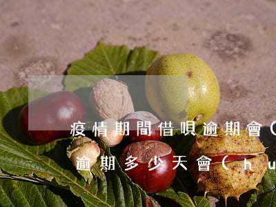 疫情期間借唄逾期會(huì)降額么(借唄逾期多少天會(huì)降額停掉)