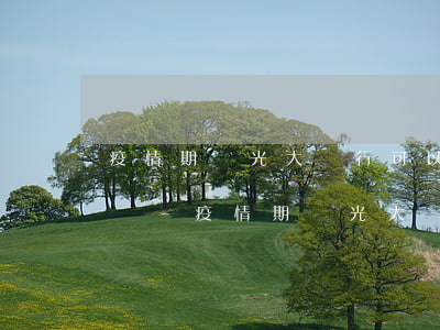 疫情期間光大銀行可以協(xié)商還款嗎-疫情期間光大銀行可以協(xié)商還款嗎現(xiàn)在