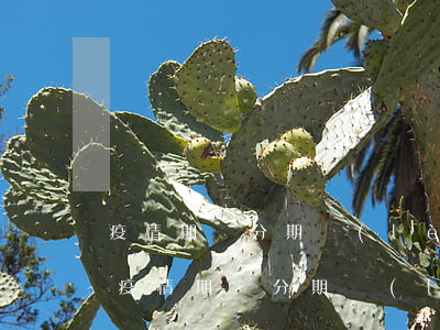 疫情期間分期樂(lè)可以延遲還款嗎-疫情期間分期樂(lè)可以延期還款嗎