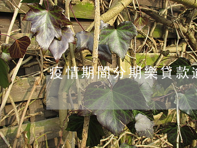 疫情期間分期樂貸款逾期