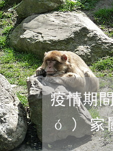 疫情期間各類(lèi)貸款逾期(國(guó)家關(guān)于疫情期間貸款逾期)
