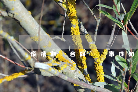 疫情期間合同糾紛事件如何立案
