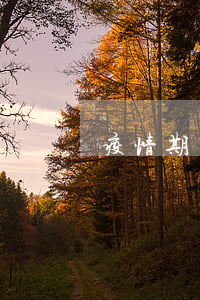 疫情期間合同糾紛法院怎么處理