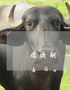 疫情期間哄抬物價的標(biāo)準(zhǔn)