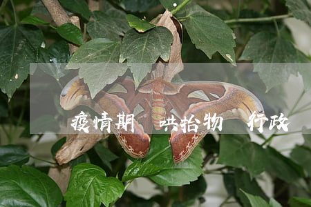 疫情期間哄抬物價行政處罰