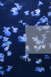 疫情期間哪個網(wǎng)貸可以延期還款-