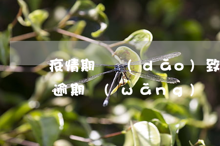疫情期間導(dǎo)致網(wǎng)貸逾期(網(wǎng)貸疫情期間還款政策)