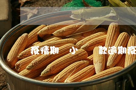 疫情期間小額貸款逾期(疫情期間貸款逾期)