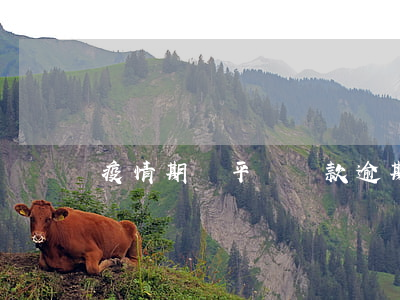 疫情期間平臺貸款逾期(疫情期間貸款逾期)
