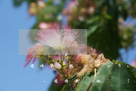 疫情期間微貸網(wǎng)可以延期還款嗎-疫情期間微貸網(wǎng)可以延期還款嗎安全嗎