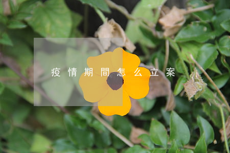 疫情期間怎么立案