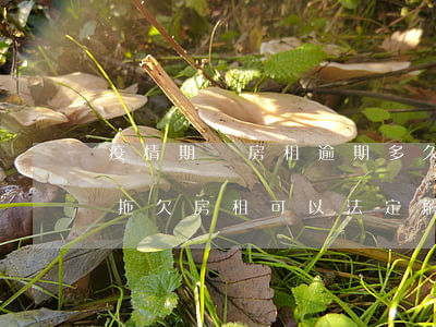 疫情期間房租逾期多久可以趕人-疫情期間拖欠房租可以法定解除