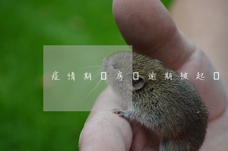 疫情期間房貸逾期被起訴(因疫情逾期交房)