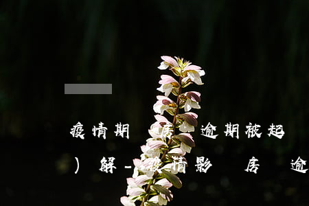 疫情期間房貸逾期被起訴怎么調(diào)解-疫情影響房貸逾期如何和銀行解決