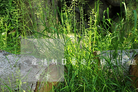 疫情期間普通人信用卡逾期(疫情期間不還信用卡)
