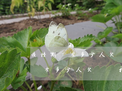 疫情期間有多少人欠網貸和信用卡-疫情期間有多少人欠網貸和信用卡的