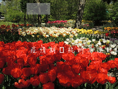 疫情期間杭州高速封路嗎