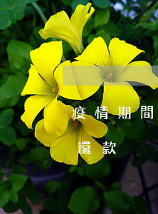 疫情期間欠信用卡被告(疫情期間被銀行起訴還款)