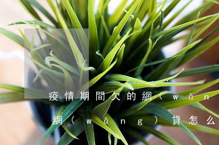 疫情期間欠的網(wǎng)貸(疫情期間欠網(wǎng)貸怎么辦)