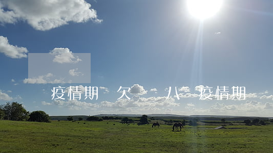 疫情期間欠網貸八萬(疫情期間網貸都借不到)