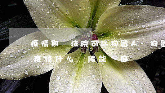 疫情期間法院可以拘留人嗎(拘留所的人今年疫情什么時候能開庭)
