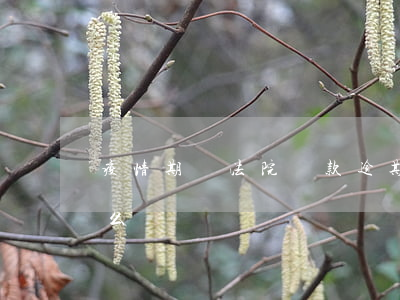疫情期間法院還款逾期(疫情影響還款逾期怎么辦)