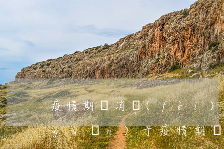 疫情期間消費(fèi)貸款逾期(國家關(guān)于疫情期間貸款逾期)