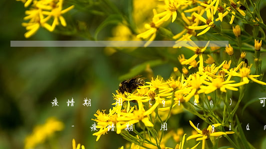 疫情期間用錢(qián)寶可以延期還款嗎-疫情期間用錢(qián)寶可以延期還款嗎安全嗎