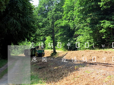 疫情期間申請網(wǎng)貸延期還款的原因-疫情期間申請網(wǎng)貸延期還款的原因怎么寫