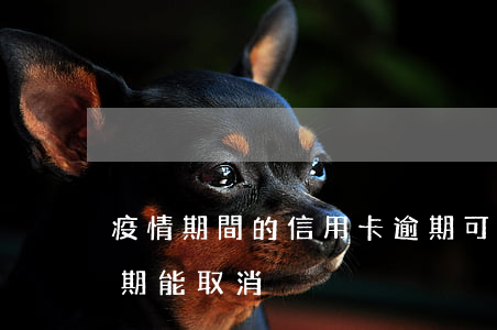 疫情期間的信用卡逾期可以取消嗎（信用卡逾期能取消）