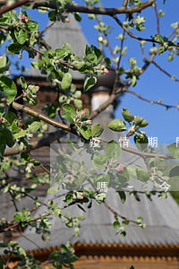 疫情期間的信用卡逾期會(huì)被起訴嗎-今年疫情期信用卡逾期起訴