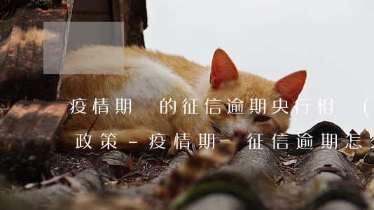 疫情期間的征信逾期央行相關(guān)政策-疫情期間征信逾期怎么辦