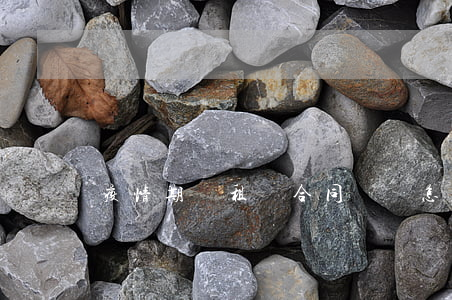 疫情期間租賃合同糾紛怎么解