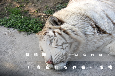疫情期間網(wǎng)貸逾期國(guó)家有什么政策-疫情期間網(wǎng)貸逾期國(guó)家有什么政策嗎