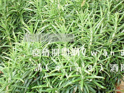 疫情期間網(wǎng)貸逾期記錄可以申請(qǐng)消除嗎-疫情期間網(wǎng)貸逾期記錄可以申請(qǐng)消除嗎