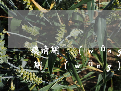 疫情期間網(wǎng)貸逾期還不上(疫情期間網(wǎng)貸逾期還不上)