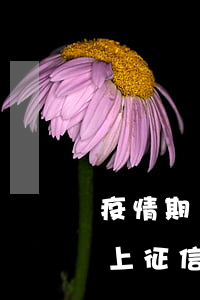 疫情期間網貸全部逾期了(疫情期間網貸逾期上征信嗎)