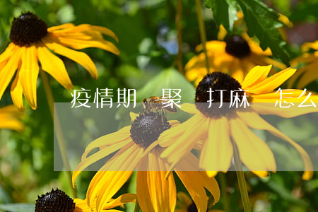 疫情期間聚眾打麻將怎么處理