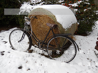 疫情期間花唄逾期2個(gè)月上征信嗎-疫情期間花唄逾期2個(gè)月上征信嗎有影響嗎