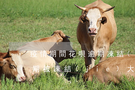 疫情期間花唄逾期凍結(jié)(花唄有逾期被凍結(jié),大概什么時(shí)候可以解除)
