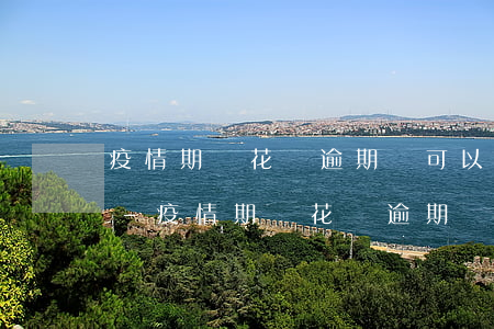 疫情期間花唄逾期還可以繼續(xù)用嗎-疫情期間花唄逾期還可以繼續(xù)用嗎現(xiàn)在