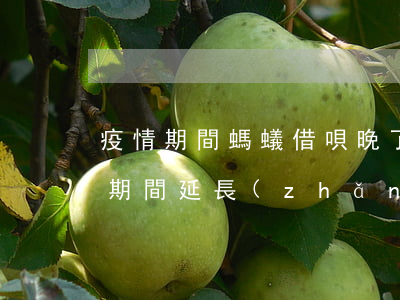 疫情期間螞蟻借唄晚了一天還款-借唄疫情期間延長(zhǎng)還款變逾期