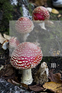 疫情期間裁員(疫情期間裁員賠償2倍嗎)