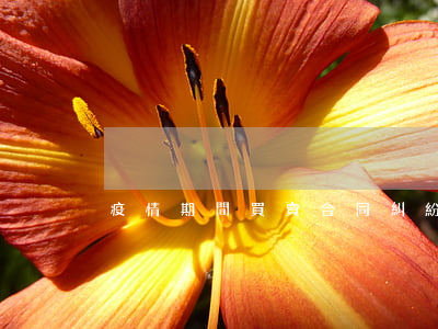 疫情期間買賣合同糾紛怎么處理