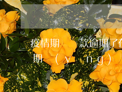 疫情期間貸款逾期了(在疫情期間銀行貸款逾期應(yīng)該如何處理)